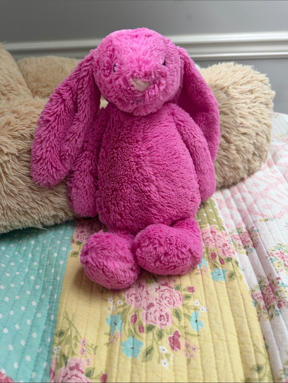 Jellycat Fuchsia Pink Plush Bunny with Long Ears